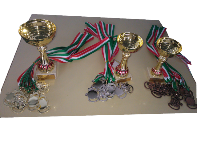 Lers: Lers: D:\web\szelence1\sport\nonapiKupa\WP_001063.png